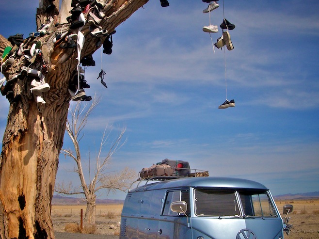 NV Shoe Tree2